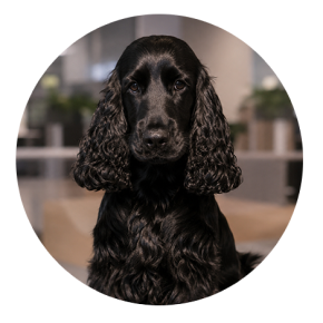 Coco